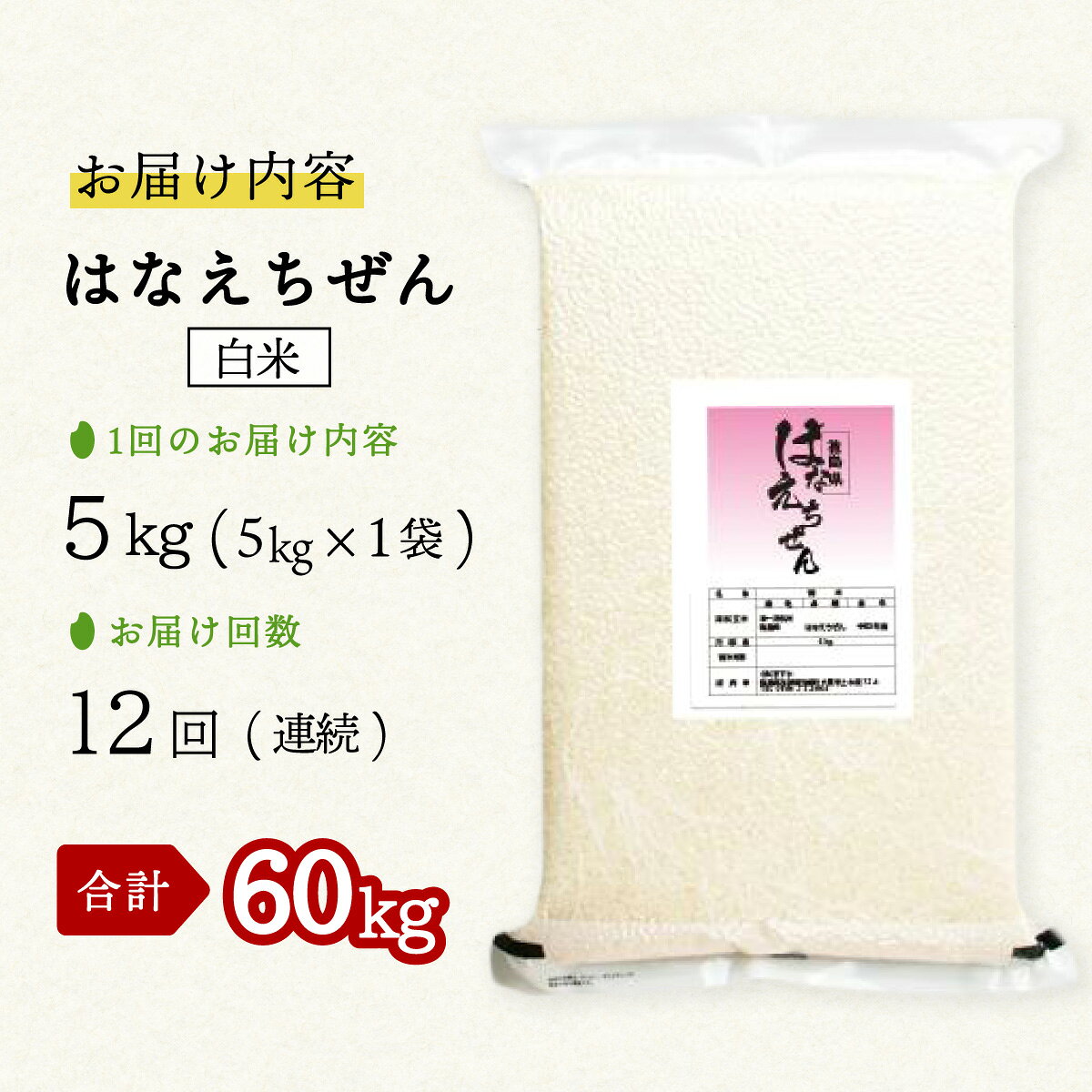 【ふるさと納税】はなえちぜん 白米 5kg×12回 12ヶ月連続 定期便 60kg 真空パック ハナエチゼン 米 簡易梱包 エコ梱包 f363880-kaiyo-10001354 徳島県海陽町 サンプル画像2