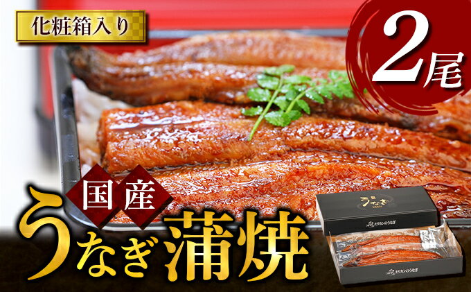 【ふるさと納税】うなぎ蒲焼 2尾入　国産 鰻 ウナギ 蒲焼き ギフト 贈答品 お歳暮 正月 うな丼 鰻丼 うな重 鰻重 ひつまぶし お中元 魚貝類