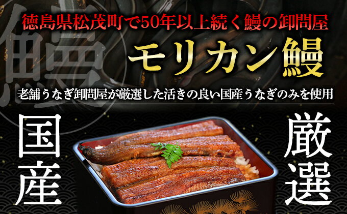 【ふるさと納税】うなぎ蒲焼 2尾入　国産 鰻 ウナギ 蒲焼き ギフト 贈答品 お歳暮 正月 うな丼 鰻丼 うな重 鰻重 ひつまぶし お中元 魚貝類