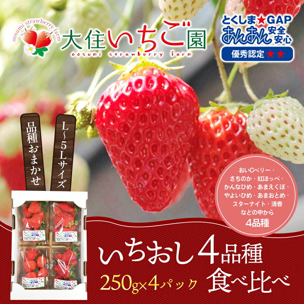 【ふるさと納税】個性派いちご4品種食べ比べセット　250g×4パック　『とくしま安2（安全・安心）GAP農産物』優秀認定取得　【 果物 フルーツ デザート おやつ 旬の果物 旬のフルーツ ストロベリー 】　お届け：2024年1月上旬～4月下旬･･･