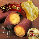 【ふるさと納税】かんしょ（ なると金時 ）5kg 徳島県産 さつまいも 鳴門金時 サツマイモ 5キロ 芋 国産 ホクホク 甘い