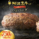 11位! 口コミ数「0件」評価「0」牛肉 阿波黒牛入り 老舗お肉屋の手ごね ハンバーグ 150g×5個 (箱入り) [北島藤原精肉店 徳島県 北島町 29al0005] 肉 惣･･･ 