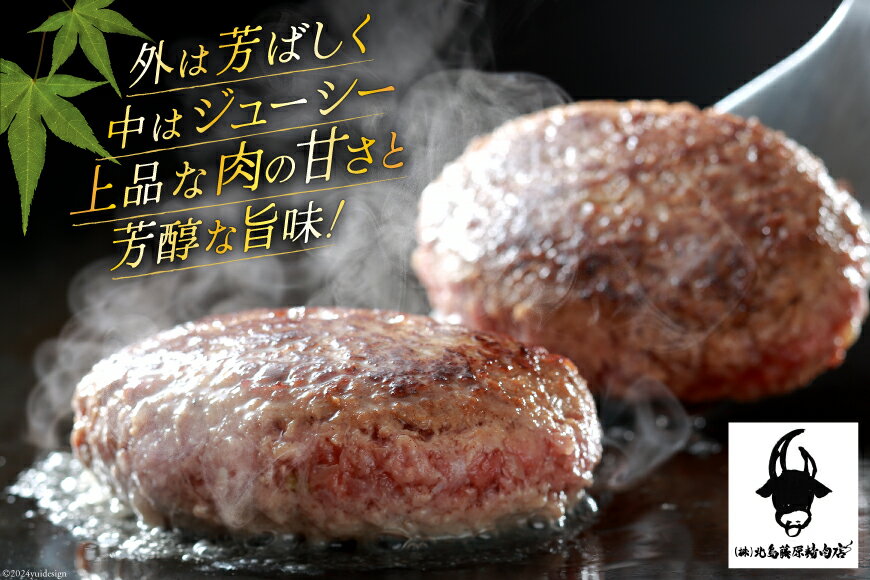 【ふるさと納税】牛肉 阿波黒牛入り 老舗お肉屋の手ごね ハンバーグ 150g×5個 (箱入り) [北島藤原精肉店 徳島県 北島町 29al0005] 肉 惣菜 手ごね 阿波黒牛 阿波 おかず 手作り