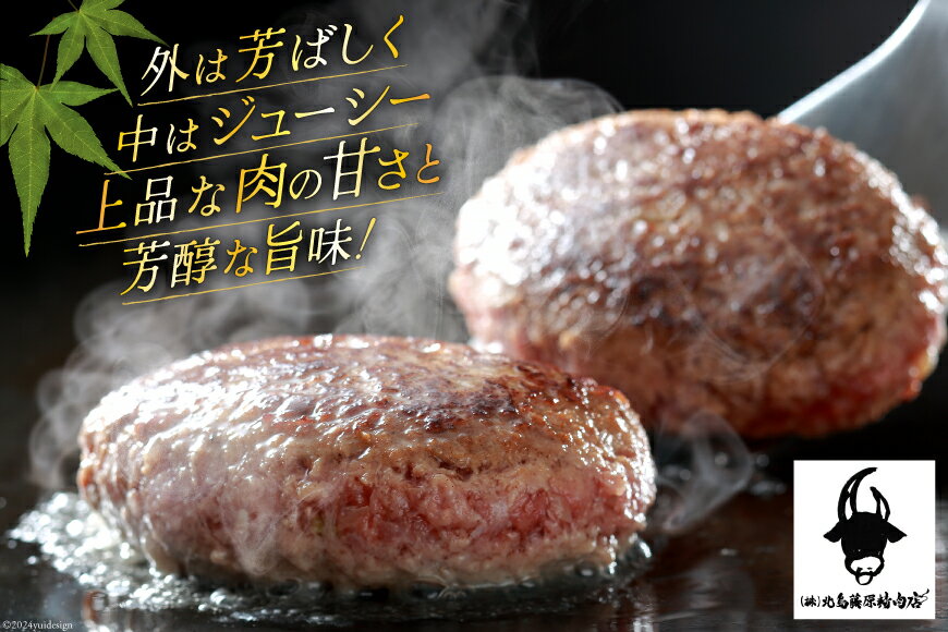【ふるさと納税】 ハンバーグ 冷凍 阿波黒牛入り 老舗お肉屋 手ごねハンバーグ 箱入り 150g 5個 3回 定期便 [北島藤原精肉店 徳島県 北島町 29al0030] 肉 惣菜 手ごね 阿波黒牛 阿波 おかず 手作り