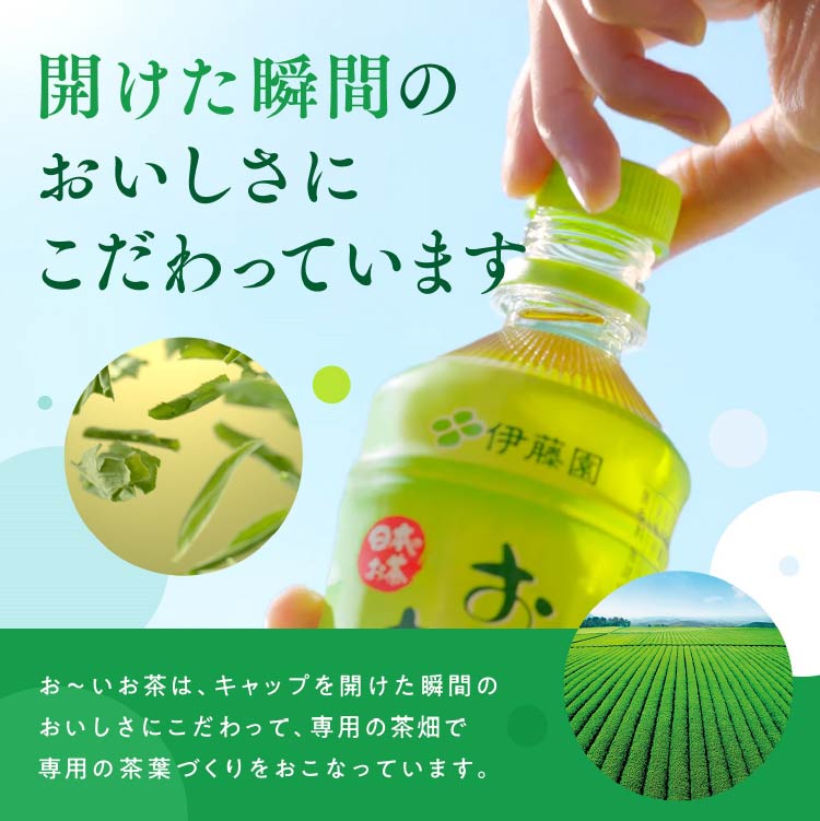 【ふるさと納税】 お茶 お〜いお茶緑茶 (レンジ対応) 345ml×24本 [伊藤園 徳島支店 徳島県 北島町 29an0001] 茶 緑茶 飲料 飲み物 のみもの ドリンク 24本 伊藤園 レンジ