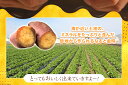 徳島県北島町の画像3