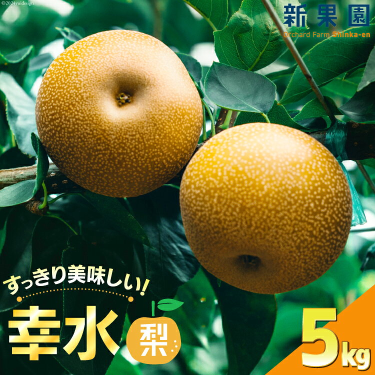 【期間限定発送】 梨 幸水 5kg [新果園 徳島県 北島町 29au0001] なし こうすい 徳島 北島 果物 フルーツ