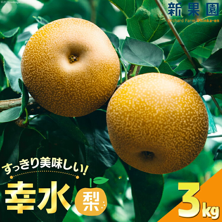 【期間限定発送】 梨 幸水 3kg [新果園 徳島県 北島町 29au0002] なし こうすい 徳島 北島 果物 フルーツ