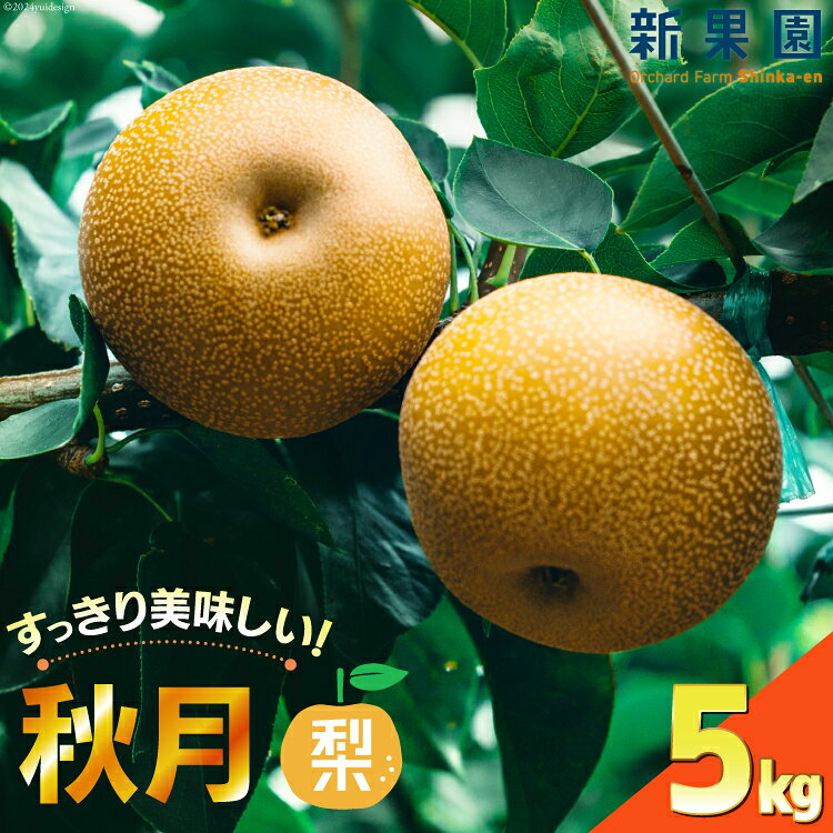 【期間限定発送】 梨 秋月 5kg [新果園 徳島県 北島町 29au0003] なし あきづき 徳島 北島 果物 フルーツ