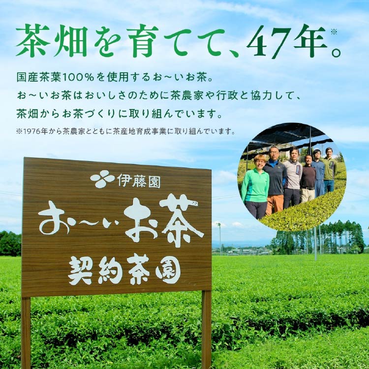 徳島県北島町の【ふるさと納税】 茶 お茶 お～いお茶 緑茶 345ml 24本 3回 定期便 総計 72本 [伊藤園 徳島支店 徳島県 北島町 29an0005] 飲料 飲み物 のみもの ドリンク 伊藤園 ペットボトル ミニサイズ ミニ ボトル｜アングル3