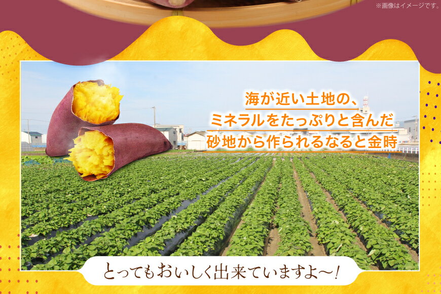 徳島県北島町の画像3