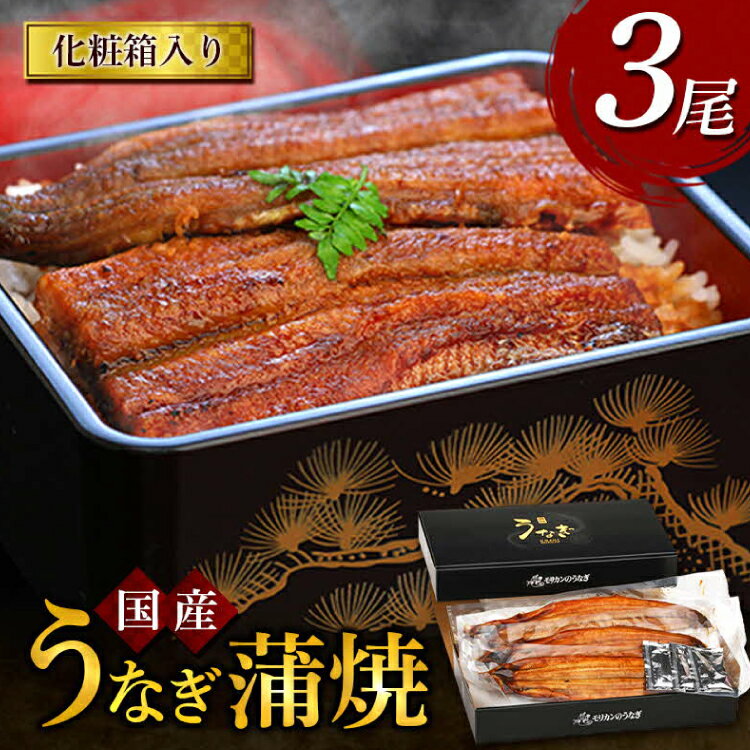 【ふるさと納税】 うなぎ 国産 うなぎ蒲焼き 3尾 [モリカン 徳島県 北島町 29bh0002] ウナギ 鰻 unagi うなぎ蒲焼 真空パック 真空 パック 冷蔵