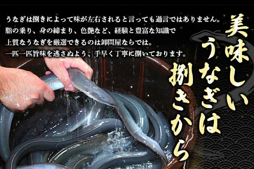 【ふるさと納税】 うなぎ 国産 うなぎ蒲焼き 5尾 [モリカン 徳島県 北島町 29bh0003] ウナギ 鰻 unagi うなぎ蒲焼 真空パック 真空 パック 冷蔵 f364029-kitajima-10000205 徳島県北島町 サンプル画像3