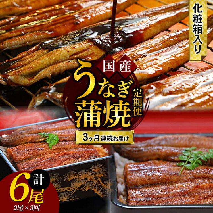 [3回定期便] うなぎ 蒲焼 2尾 [モリカン 徳島県 北島町 29bh0004] ウナギ 鰻 unagi うなぎ蒲焼 真空パック 真空 パック 冷蔵 3ヶ月 定期