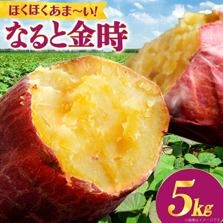 大人気! さつまいも なると金時 5kg [天野 均典 徳島県 北島町 29bc0001] サツマイモ さつま芋 鳴門金時 ホクホク 焼き芋 天ぷら 大学芋 スイートポテト おやつ かんしょ ふるさと納税