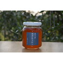 【ふるさと納税】藍の里 日本ミツバチの純粋はちみつ (300g)【1263003】