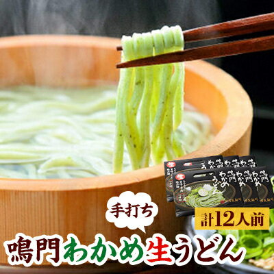 【ふるさと納税】鳴門わかめ生うどん 2人前×6箱(めんつゆ付き)【配送不可地域:離島】【1462554】