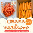 【ふるさと納税】春にんじん3kgと、にんじんスナック2袋【1602597】