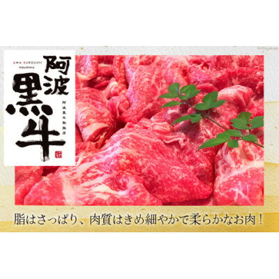 【毎月定期便】訳あり 阿波黒牛 牛上中肉 切り落とし 500g全12回【配送不可地域：離島】【4090540】