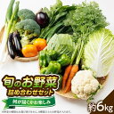 16位! 口コミ数「0件」評価「0」【旬のお野菜詰め合わせセット6kg】濱くんちのお野菜から旬のお野菜が届くお楽しみBOX【配送不可地域：離島】【1475189】