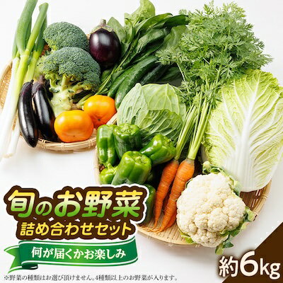 【旬のお野菜詰め合わせセット6kg】濱くんちのお野菜から旬のお野菜が届くお楽しみBOX【配送不可地域：離島】【1475189】