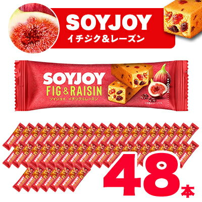 SOYJOY ソイジョイ イチジク&レーズン 48本