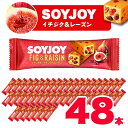 【ふるさと納税】SOYJOY ソイジョイ イチジク&レーズン 48本【1490427】