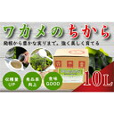 【ふるさと納税】ワカメのちから 10L箱【1495820】