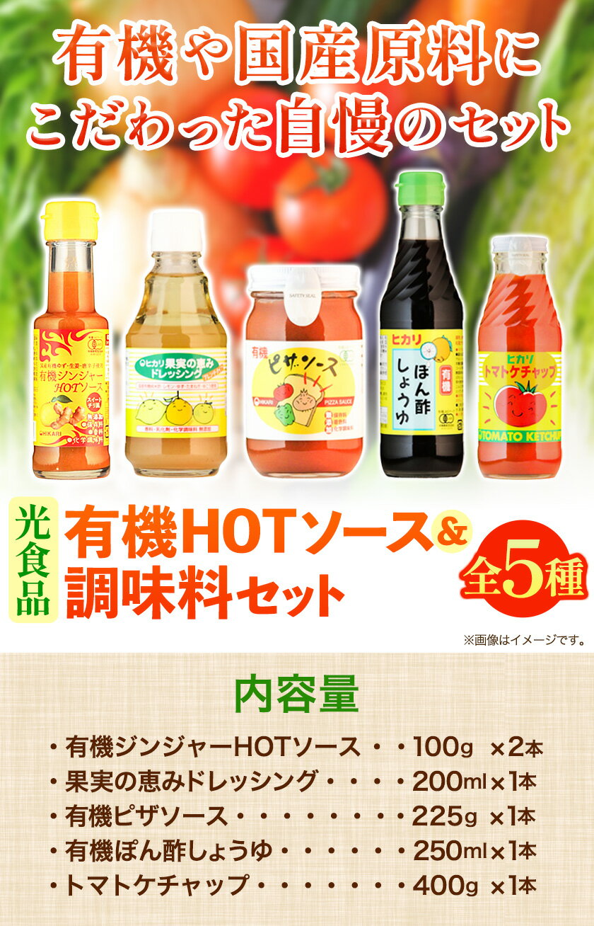 【ふるさと納税】有機HOTソース+調味料セット 5種セット 計6個 光食品 株式会社《30日以内順次出荷(土日祝除く)》無添加 調味料 セット ケチャップ ピザソース ドレッシング ポン酢 しょうゆ ホットソース 有機 徳島県 上板町