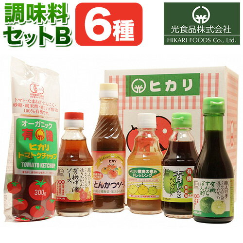 [光食品] 有機 調味料 セットB 6種 光食品 株式会社 [30日以内順次出荷(土日祝除く)]無添加 調味料 バラエティーセット 中農ソース とんかつソース ケチャップ ドレッシング ノンオイル 無農薬栽培 徳島県 上板町