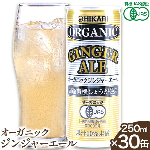 1位! 口コミ数「10件」評価「4.8」＜光食品＞オーガニックジンジャーエール 250ml×30缶 定期便 もあり 《30日以内順次出荷(土日祝除く)》ふるさと納税 オーガニック ･･･ 