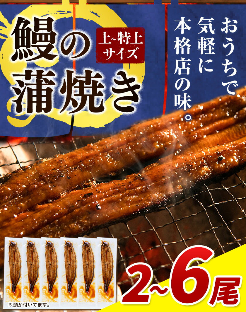 【ふるさと納税】鰻の蒲焼 2尾 ～ 6尾 たれ・山椒のセット《3－7営業日以内に出荷》うなぎ 鰻 鰻の蒲焼き 高級 蒲焼 国産 選べる 発送時期 土用の丑の日 定期便 ウナギ 送料無料 徳島県 上板町