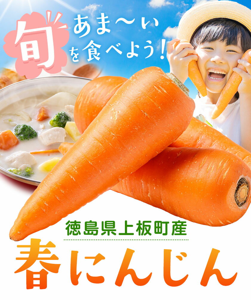 【ふるさと納税】にんじん 人参 春にんじん 1kg 3kg 5kg 10kg 《3月中旬-5月中旬頃出荷》 野菜 青果物 ニンジン 旬 送料無料 徳島県 上板町