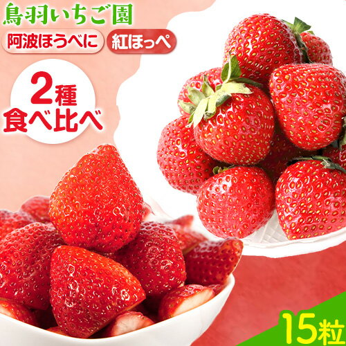 【ふるさと納税】いちご 2種 食べ比べセット お試し 15粒 徳島県産 阿波ほうべに 紅ほっぺ 鳥羽農園《1月上旬-3月下旬頃発送予定》ふるさと納税 お試し いちご 食べ比べ 2種 苺 イチゴ 徳島県 上板町 徳島県オリジナル品種 フルーティー 果物 フルーツ スイーツ 送料無料･･･