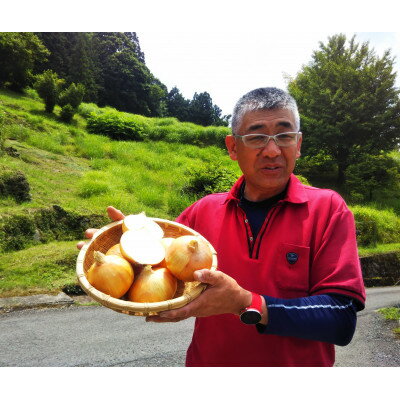 【ふるさと納税】田口農園徳島の世界農業遺産ブランド野菜　 農家人が選ぶ旬野菜のおまかせセット【配送不可地域：離島】【1381836】