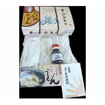 【ふるさと納税】日の出製麺所「しょうゆうどん・かけうどん」うどんセット【1606281】