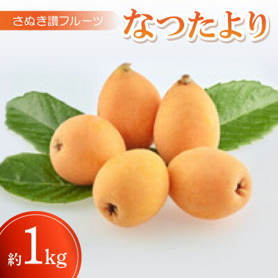 【ふるさと納税】さぬき讃フルーツ「なつたより」約1kg【令和8年5月中旬〜6月下旬発送】【配送不可地域:離島】【1609800】