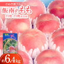 【ふるさと納税】さぬき讃フルーツ「飯南のもも(白鳳・白桃系品種)」約6.4kg 【令和7年7月発送】【配送不可地域:離島】【1609803】