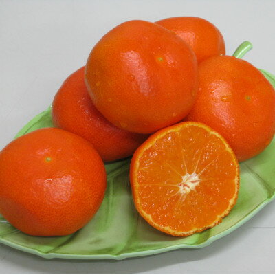 �ڤդ뤵��Ǽ�ǡۤ��̤����ե롼�ġ֥ϥ��������������ߤ���(���̤���)����2kg������8ǯ7��8��ȯ���ۡ������Բ��ϰ衧Υ��ۡ�1609816��