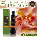 【ふるさと納税】【高級国産】小豆島産100%エキストラバージンオリーブオイル 91g×2本セット【1617308】