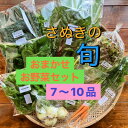 【ふるさと納税】旬を楽しむTAGATAMEのおまかせお野菜セット(7~10品)【配送不可地域:離島・北海道・沖縄県・東北・信越、北陸】【1632093】