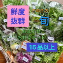 【ふるさと納税】旬を楽しむTAGATAMEのおまかせお野菜セット(15品以上)【配送不可地域:離島・北海道・沖縄県・東北・信越、北陸】【1632116】
