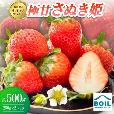 【ふるさと納税】極甘さぬき姫 約500g(250g×2パック)【配送不可地域：離島・北海道・沖縄県】【1678249】