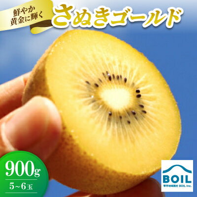 キウイ 鮮やか黄金に輝くゴールドキウイ(さぬきゴールド) 900g(5〜6玉)[配送不可地域:離島]