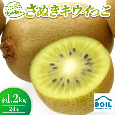 こつぶでちゅるん さぬきキウイっこ 約1.2kg(24玉)[配送不可地域:離島]