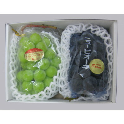 Other - 【ふるさと納税】【満足セット】ご家庭用　シャインマスカット+ピオーネ食べ比べセット　約2kg(各1～3房)【配送不可地域：離島・北海道・沖縄県】【1705903】
