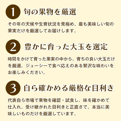 【ふるさと納税】【ジューシーで甘い】香川県産デコポンを旬の味覚として楽しむ　デコポン　1箱【1727334】 f370002-kagawa-10000494 香川県 サンプル画像3