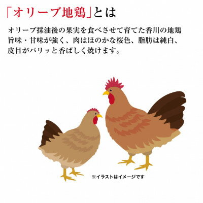 【ふるさと納税】讃岐うどんと香川名産品「オリーブ地鶏」の焼鳥【1733952】
