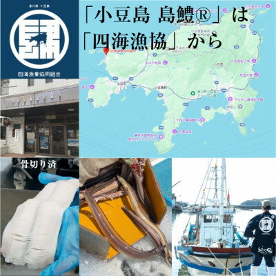 【ふるさと納税】讃岐うどんと香川名産品「小豆島島鱧」の煮付け【1733956】