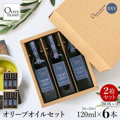 【ふるさと納税】エキストラバージン(EXV)オリーブオイル3本入ギフト2セット(120ml×3本×2)【1776955】